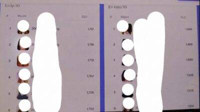 İzmir Ekonomi Üniversitesi'nin verileri çalındı, kadın öğrencilerin fotoğrafları ile kurulan